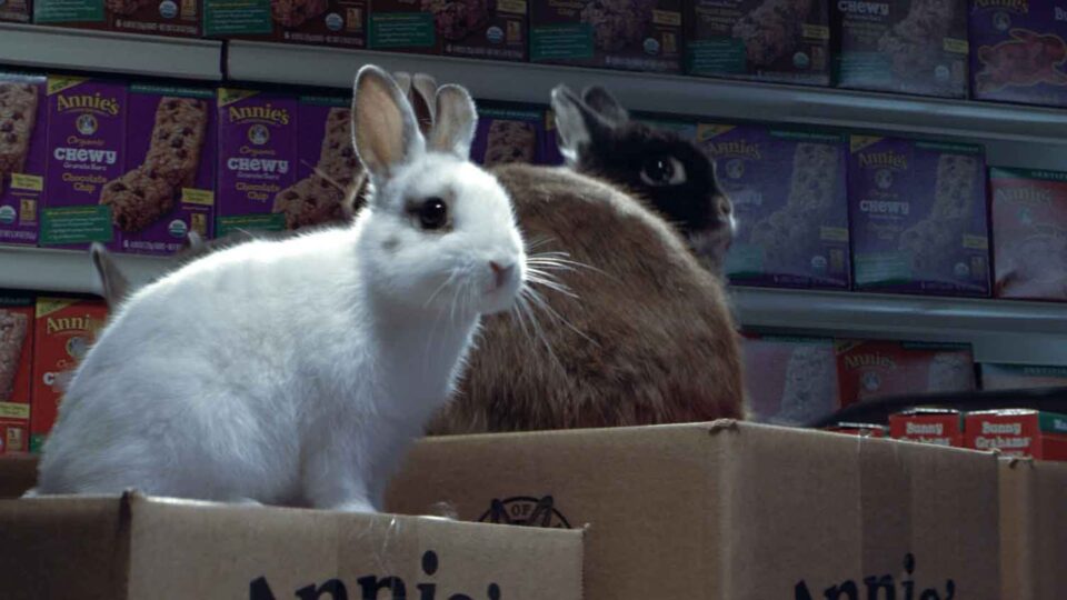 Organic for Everybunny