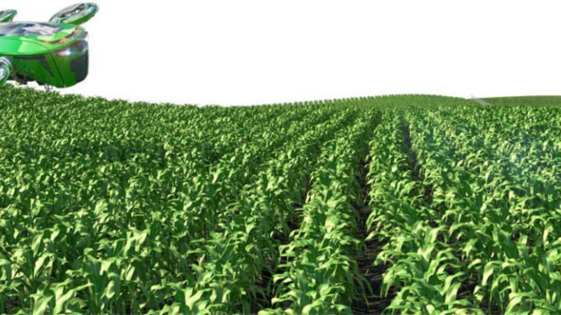 Green drone spraying crops in a vast field