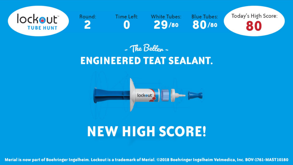 Lockout Tube Hunt game screen showing new high score of 80 with product image